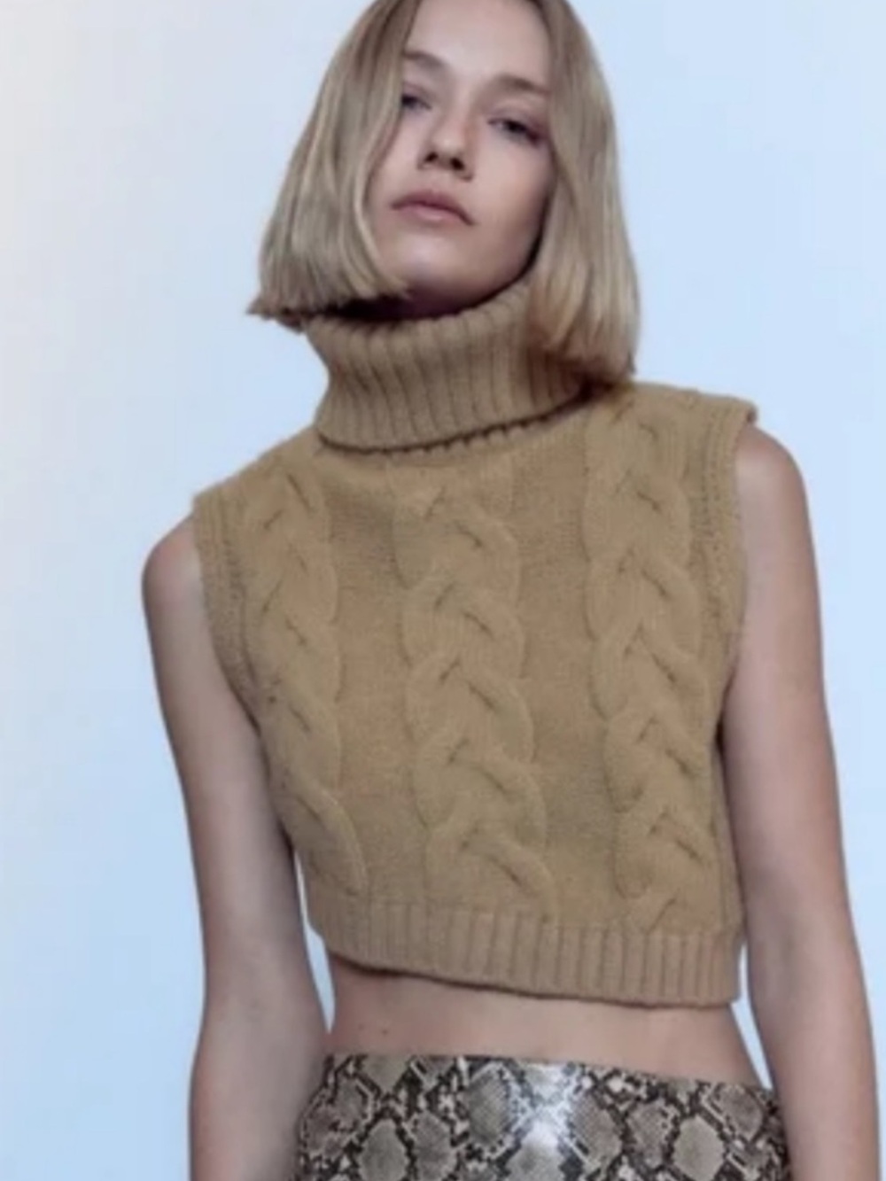 Zara Camel Cable Knit Turtleneck
Asymmetrical Sweater